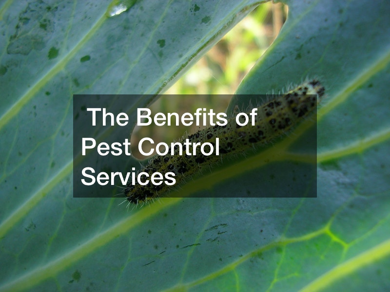 The Benefits of Pest Control Services