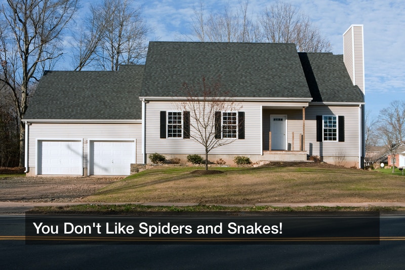 You Don’t Like Spiders and Snakes!