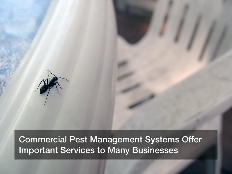 Commercial Pest Management Systems Offer Important Services to Many Businesses