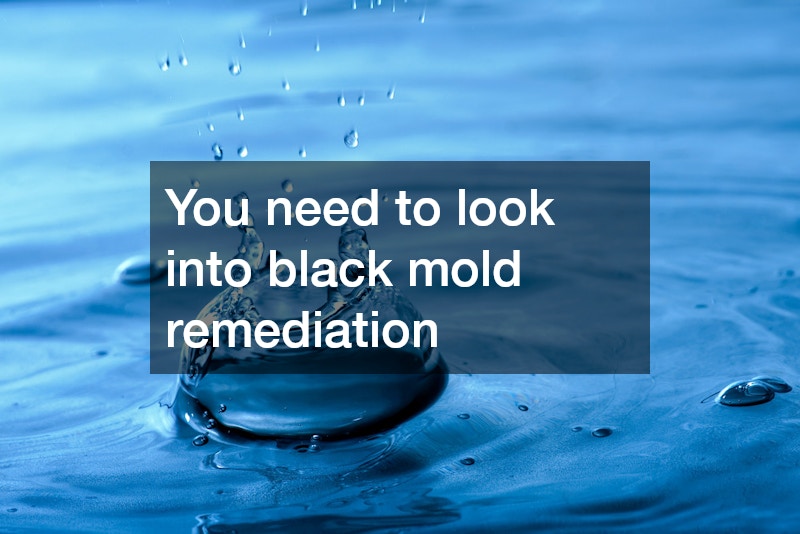 Should You Renovate Your Home Because of Dry Rot?