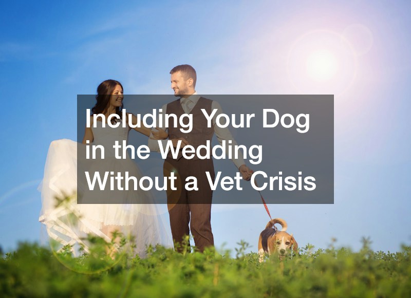 Including Your Dog in the Wedding Without a Vet Crisis